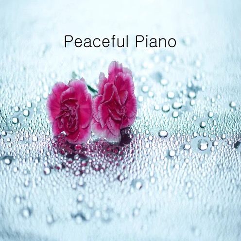 Rainy Morning_钢琴谱